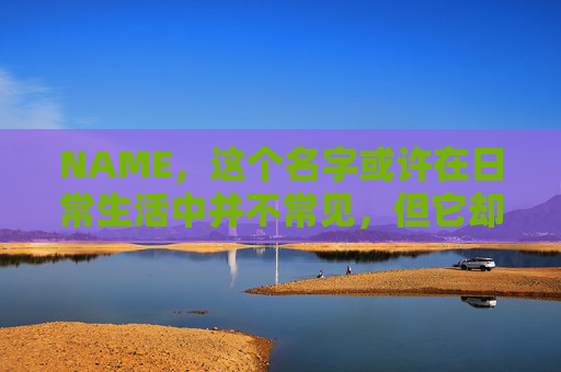 NAME，这个名字或许在日常生活中并不常见，但它却在某些领域里扮演着重要的角色。今天，让我们一起来探索这个名字背后的故事和意义