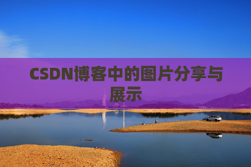 CSDN博客中的图片分享与展示